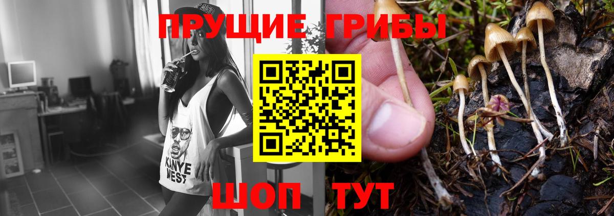 Галлюциногенные грибы GOLDEN TEACHER Малгобек